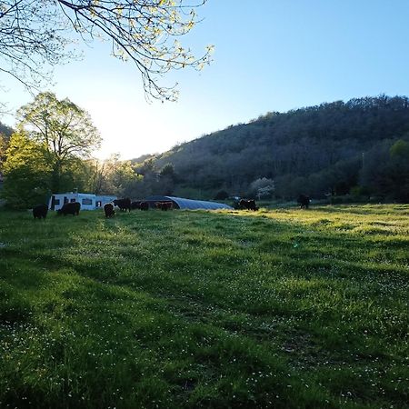 Ferme Les Therondels Saint-Pons-de-Thomieres Екстериор снимка