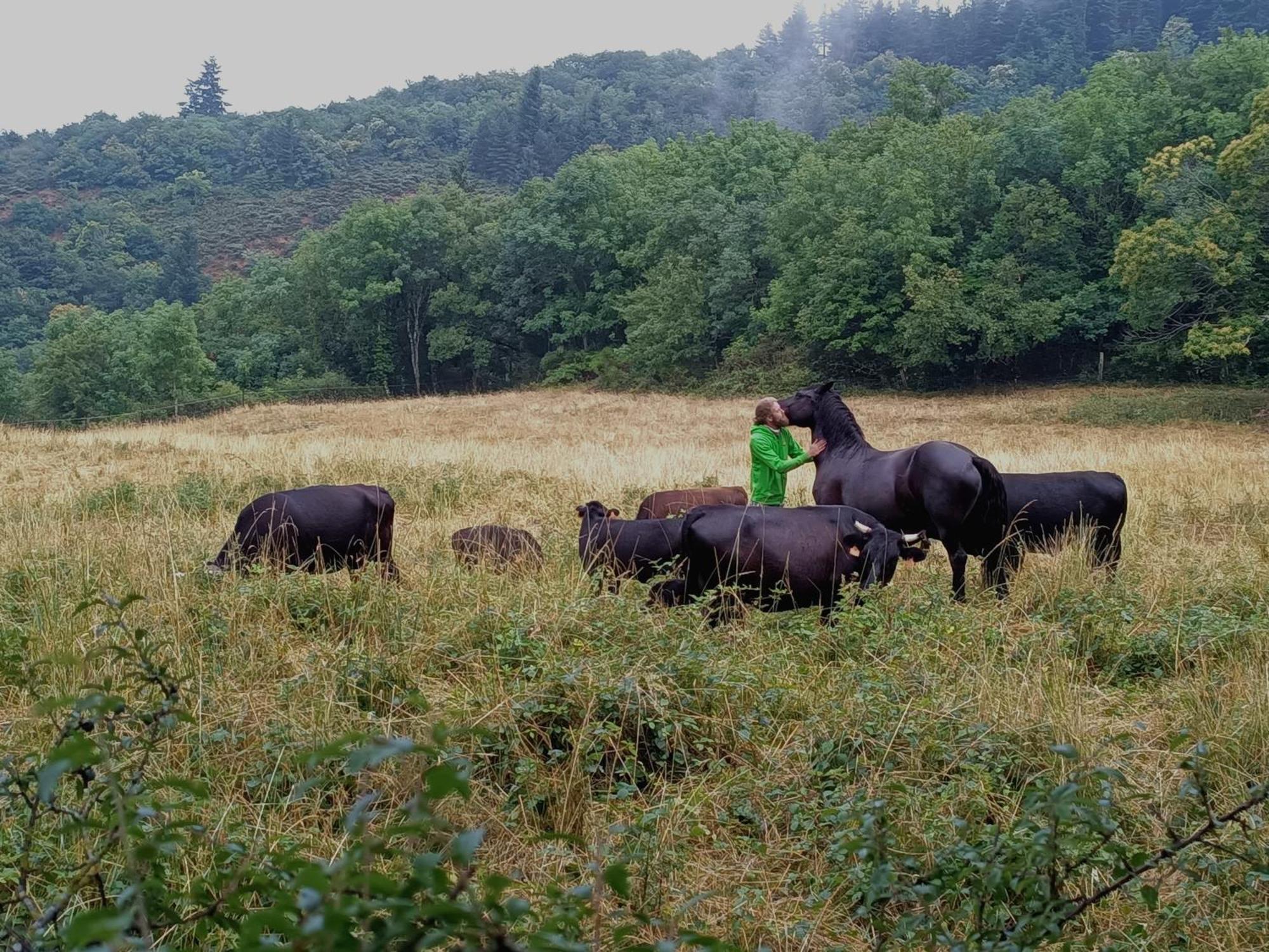 Ferme Les Therondels Saint-Pons-de-Thomieres Екстериор снимка