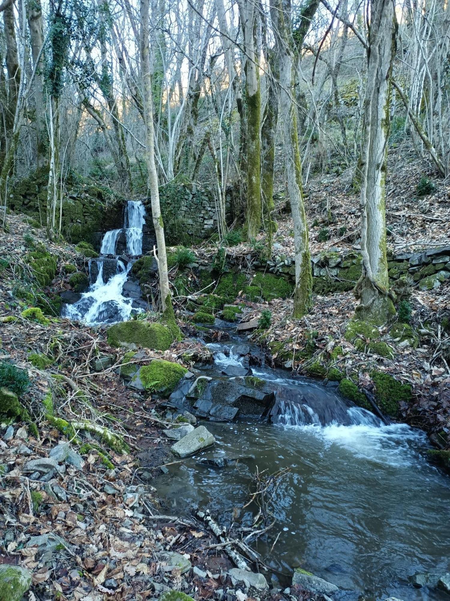 Ferme Les Therondels Saint-Pons-de-Thomieres Екстериор снимка