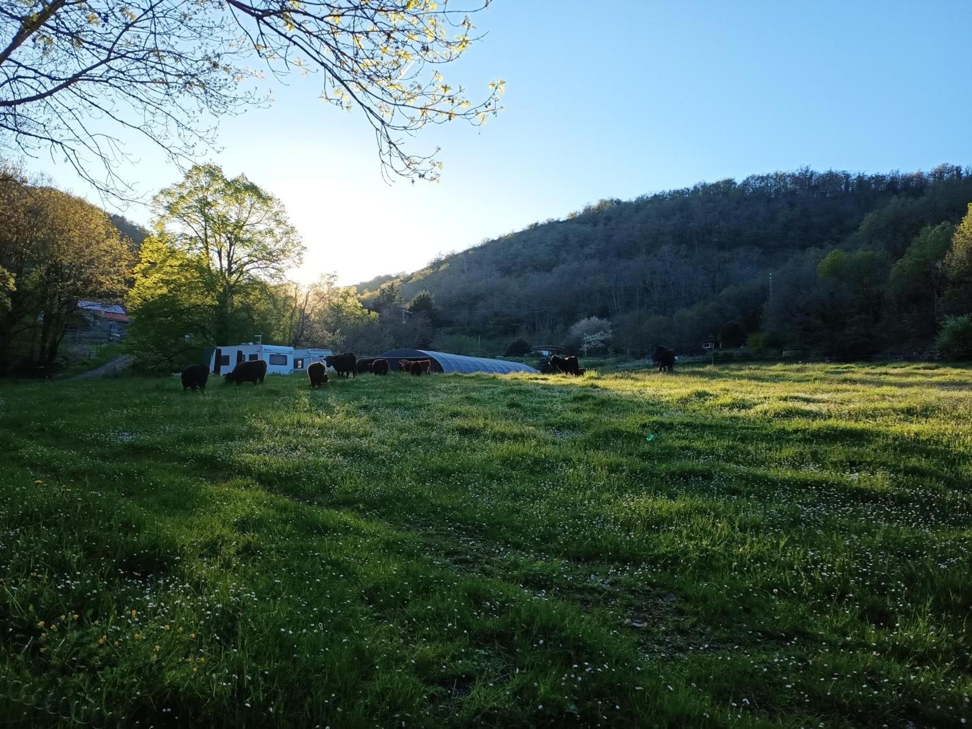 Ferme Les Therondels Saint-Pons-de-Thomieres Екстериор снимка